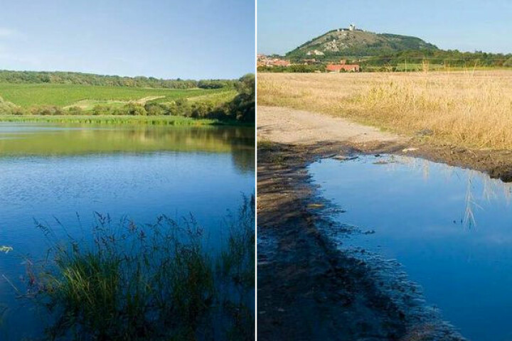 Horní Mušlovský rybník a pohled na Svatý kopeček v Mikulově